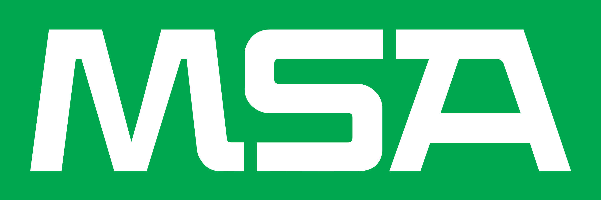 MSA-.png